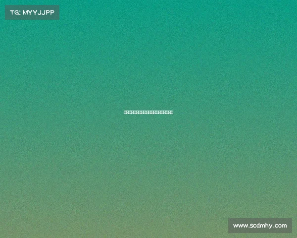 印地五百大赛激情上演速度与荣耀的巅峰对决