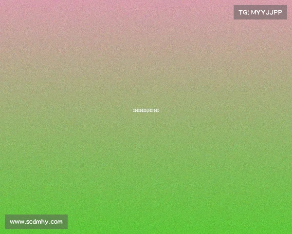 围棋赛事冠军,围棋 冠军